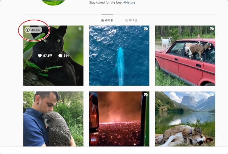 how to upload instagram on pc 11